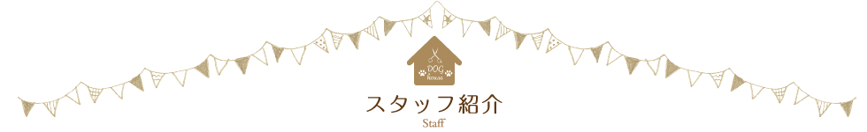 スタッフ紹介