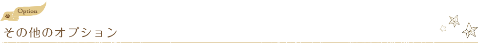 その他のオプション