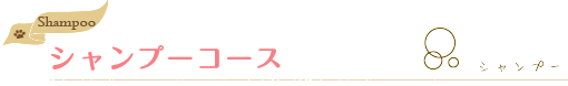 シャンプーコース
