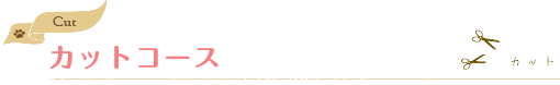カットコース
