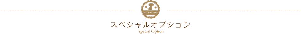 スペシャルオプション