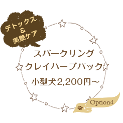 スパークリングクレイハーブパック