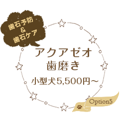 アクアゼオ歯磨き