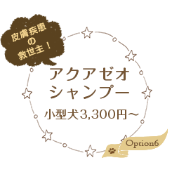 アクアゼオシャンプー