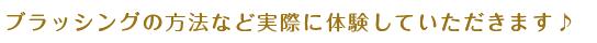 ブラッシングの方法など実際に体験していただきます