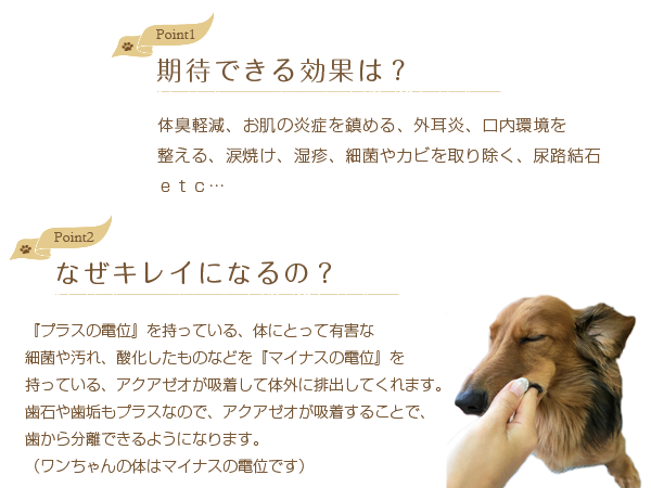 期待できる効果は？