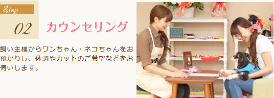 カウンセリング