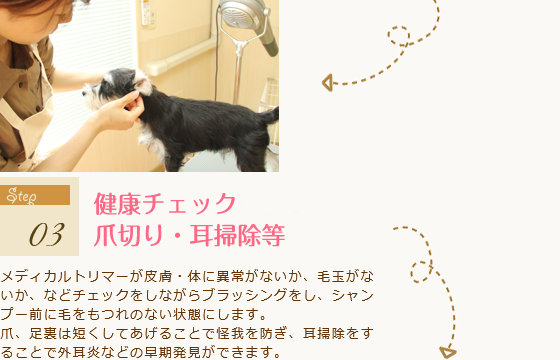 健康チェック・爪切り・耳掃除など