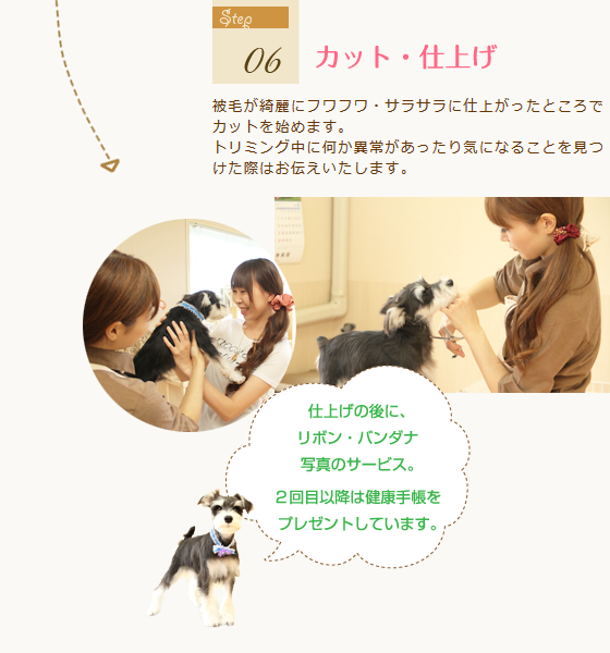 カット・仕上げ