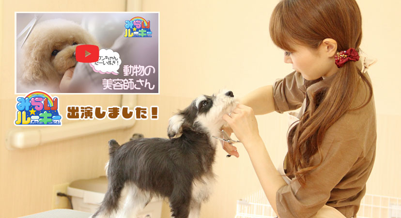 青森トリミング