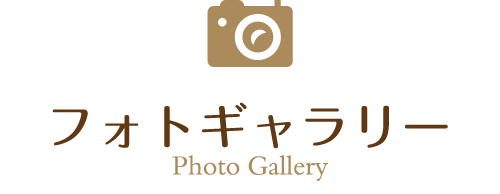 フォトギャラリー