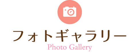 フォトギャラリー