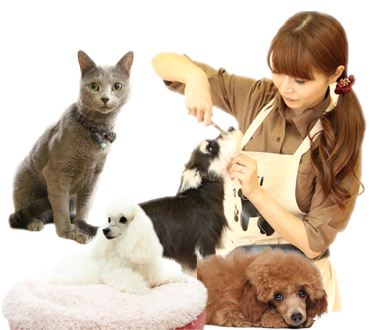 トリミングについて