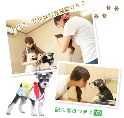 ファーストトリム